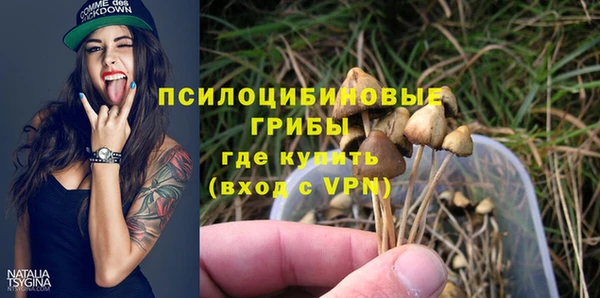 а пвп мука Бородино