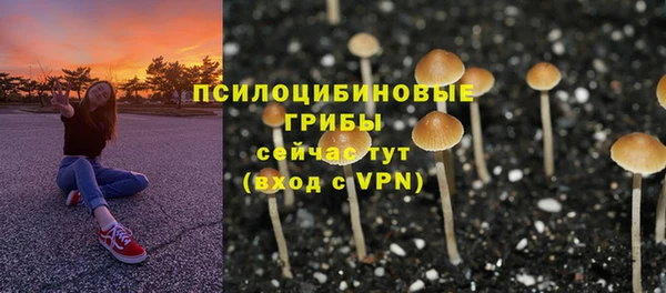 а пвп мука Бородино