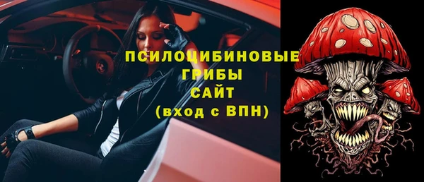 а пвп мука Бородино