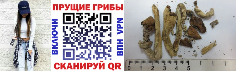 Псилоцибиновые грибы прущие грибы  купить наркотики цена  Стрежевой 